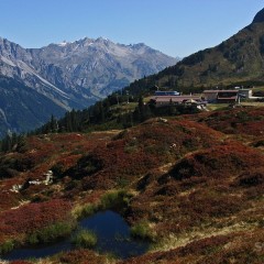 Wandertips Vorarlberg: Sonnenkopf