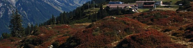 Wandertips Vorarlberg: Sonnenkopf